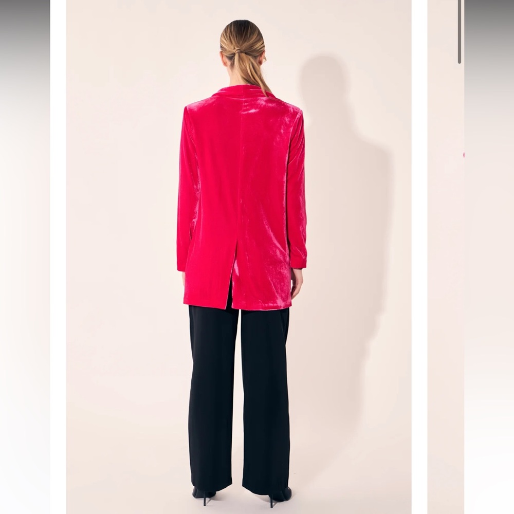 Velvet Blazer - Picture 4 of 5